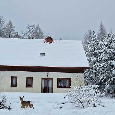 Dom Na Pstraznicy Villa Kudowa-Zdrój Buitenkant foto