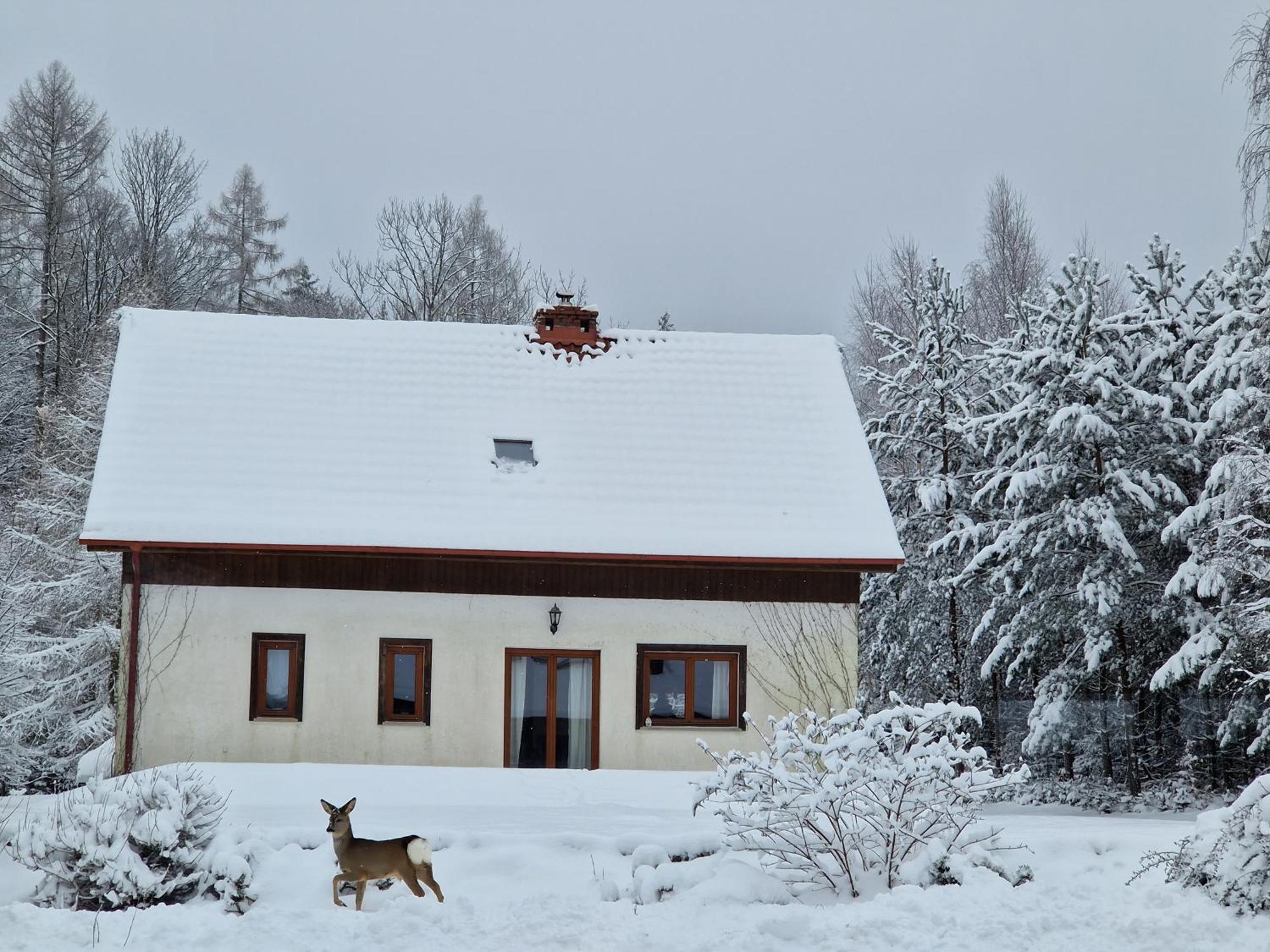Dom Na Pstraznicy Villa Kudowa-Zdrój Buitenkant foto