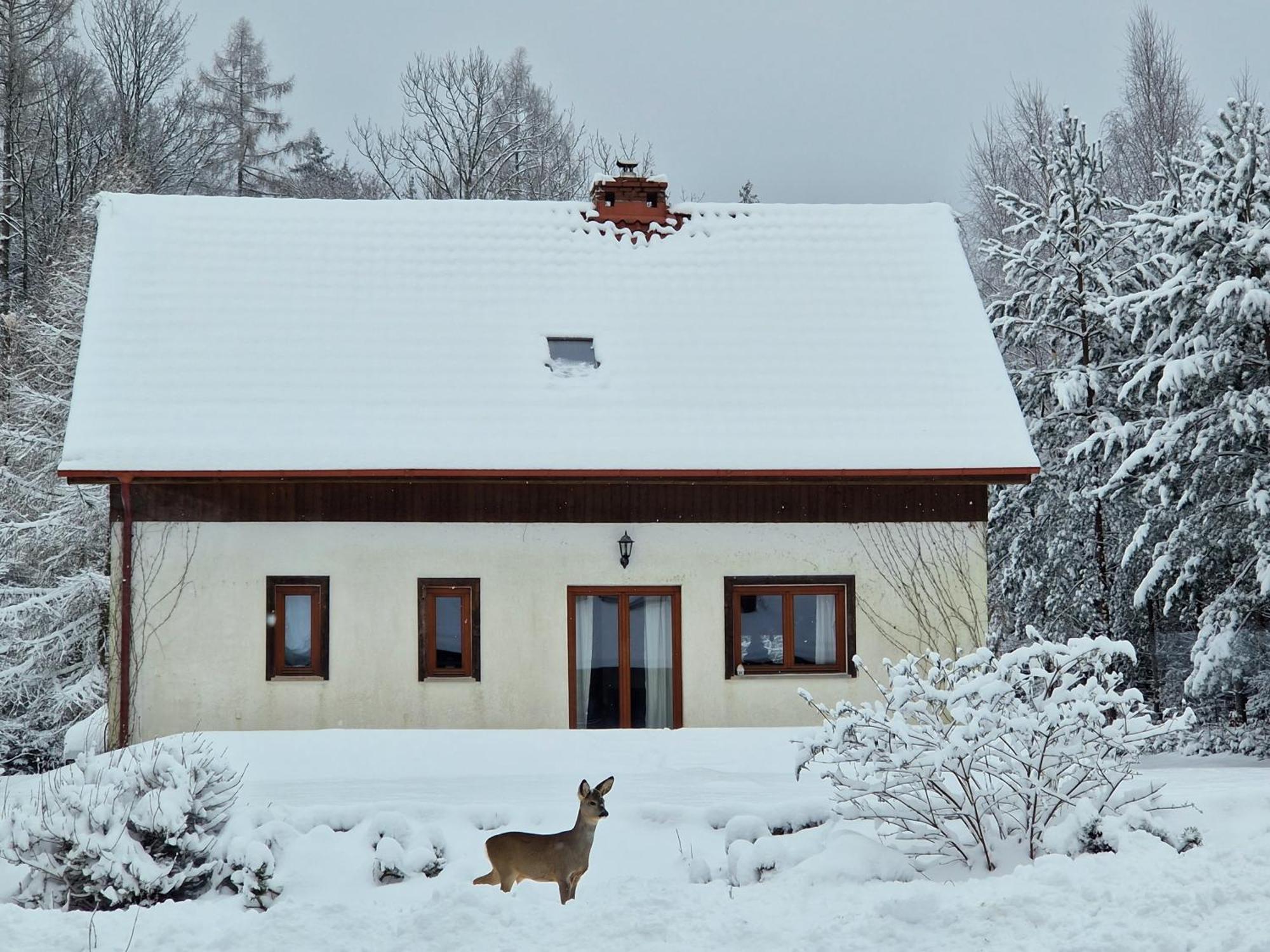 Dom Na Pstraznicy Villa Kudowa-Zdrój Buitenkant foto