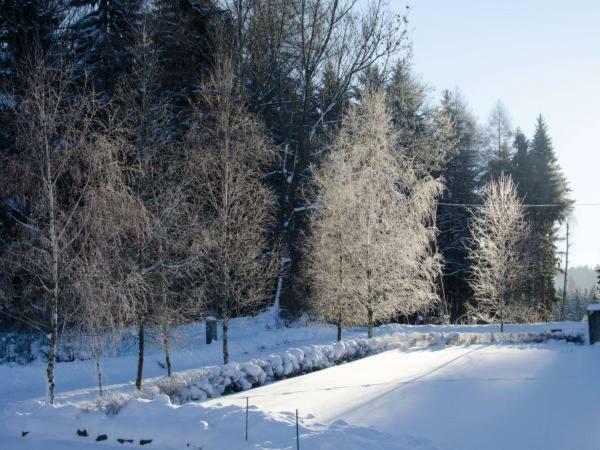 Dom Na Pstraznicy Villa Kudowa-Zdrój Buitenkant foto