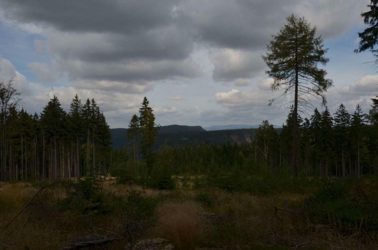 Dom Na Pstraznicy Villa Kudowa-Zdrój Buitenkant foto