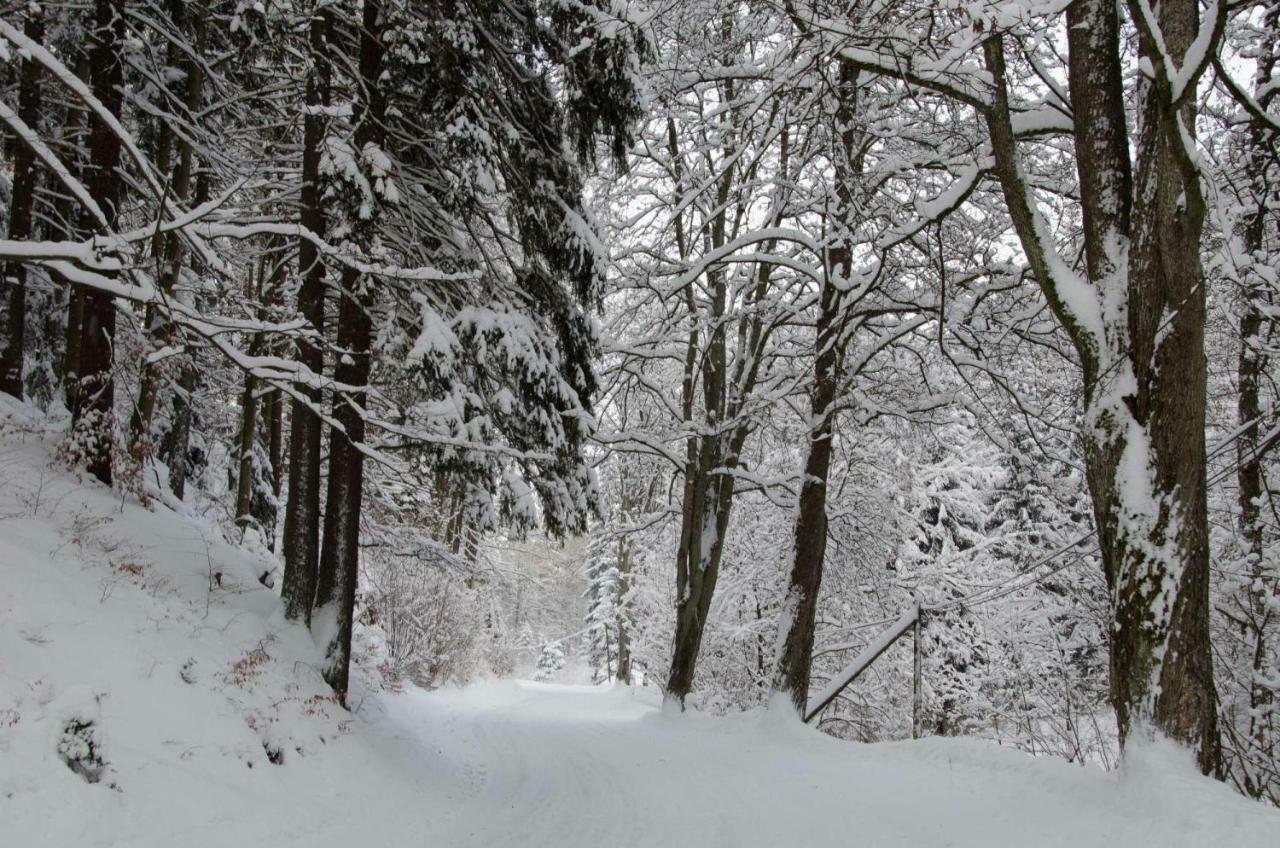 Dom Na Pstraznicy Villa Kudowa-Zdrój Buitenkant foto