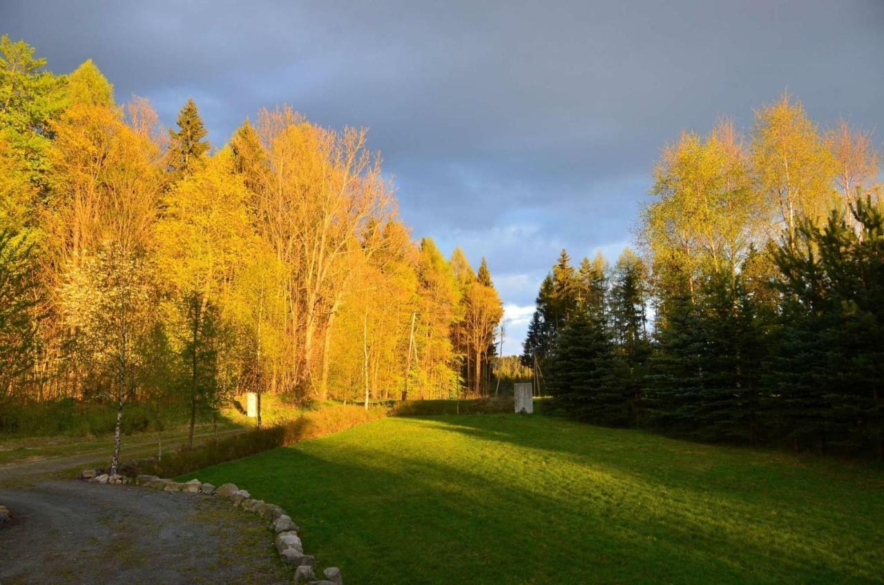 Dom Na Pstraznicy Villa Kudowa-Zdrój Buitenkant foto