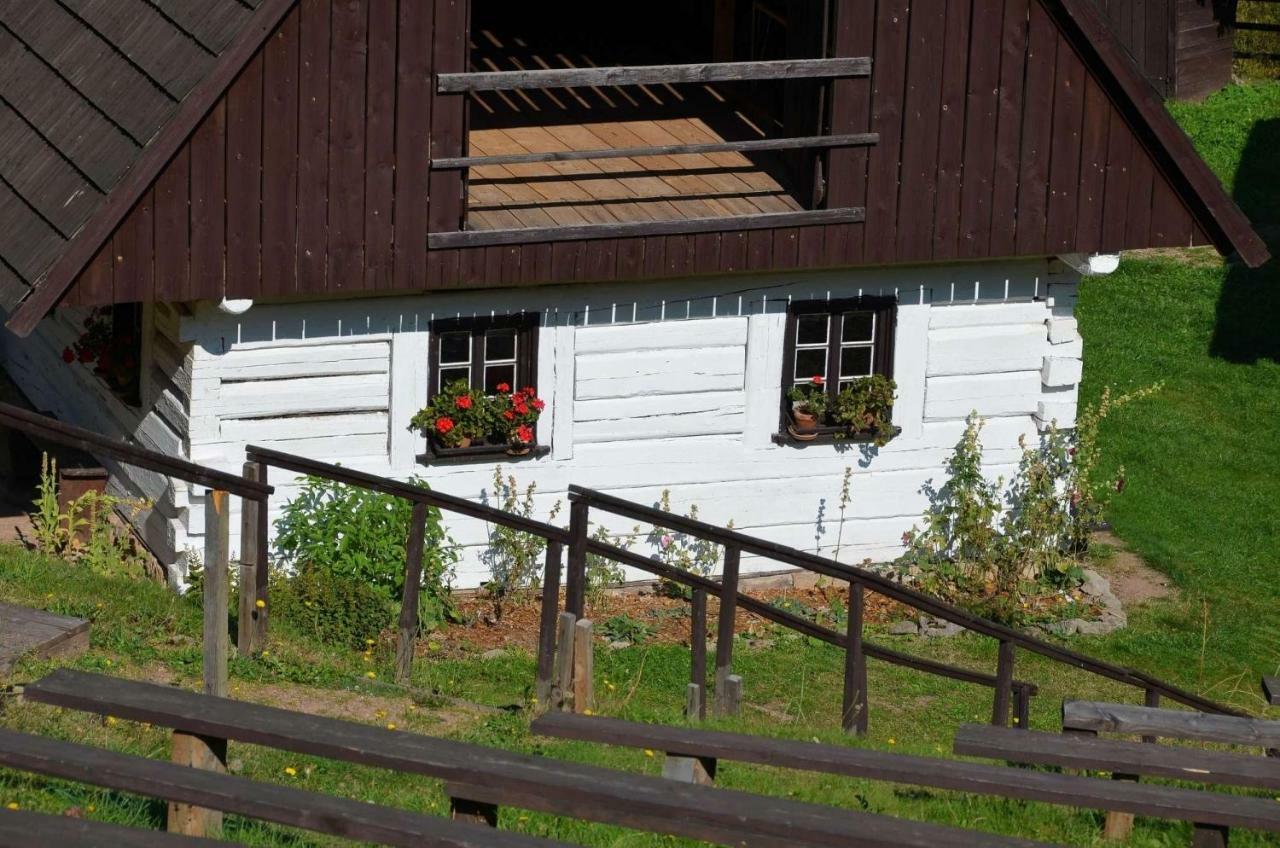 Dom Na Pstraznicy Villa Kudowa-Zdrój Buitenkant foto