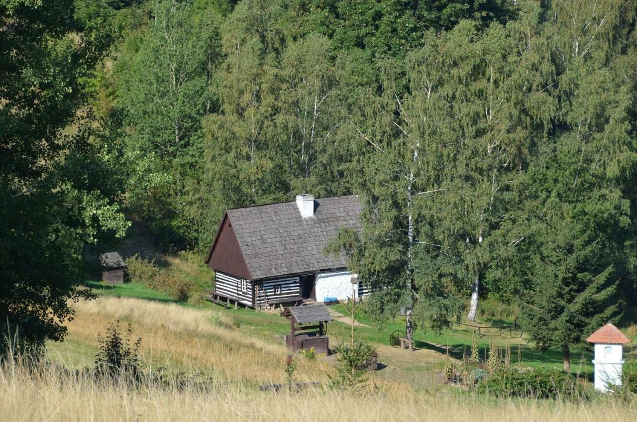 Dom Na Pstraznicy Villa Kudowa-Zdrój Buitenkant foto