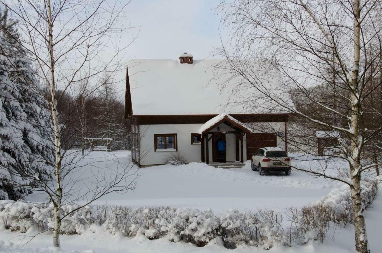 Dom Na Pstraznicy Villa Kudowa-Zdrój Buitenkant foto