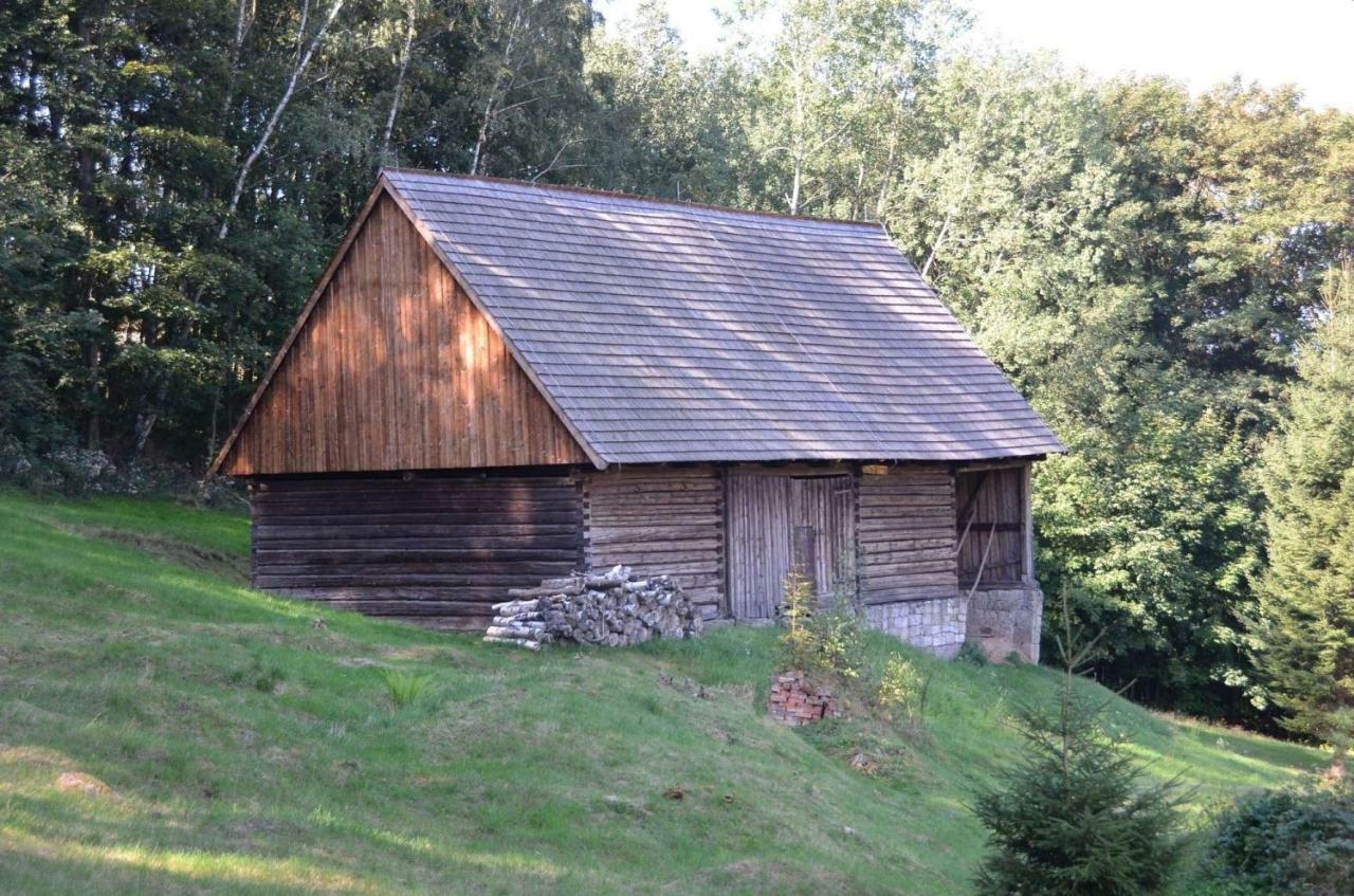 Dom Na Pstraznicy Villa Kudowa-Zdrój Buitenkant foto