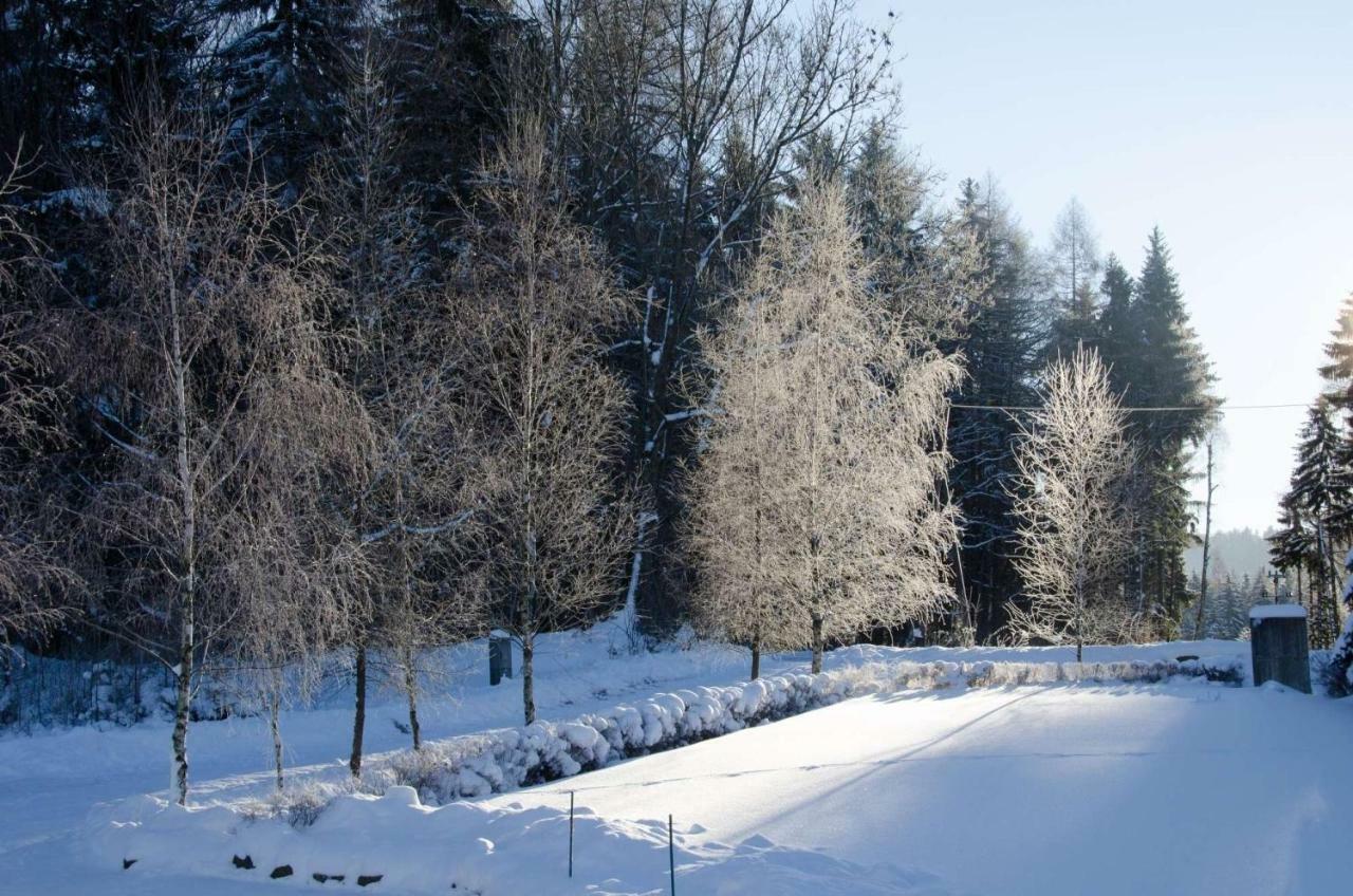 Dom Na Pstraznicy Villa Kudowa-Zdrój Buitenkant foto