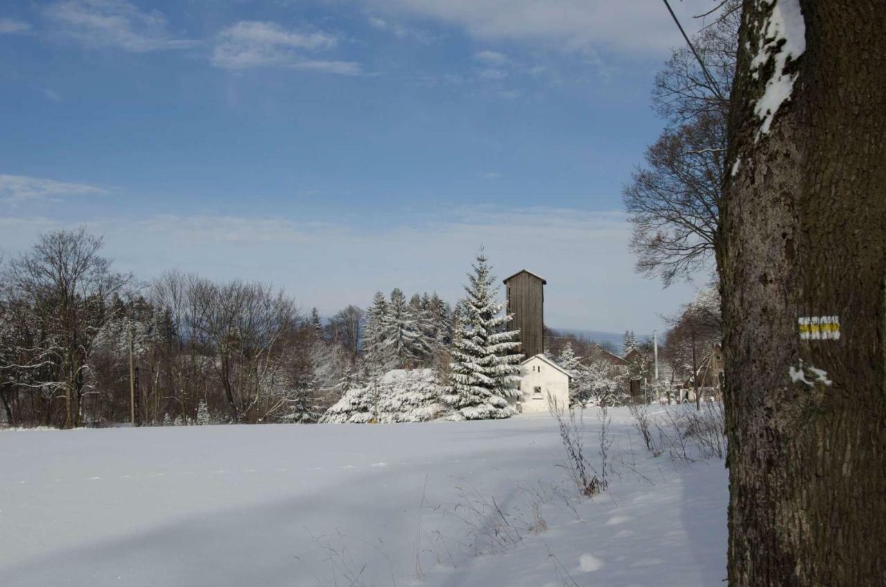 Dom Na Pstraznicy Villa Kudowa-Zdrój Buitenkant foto