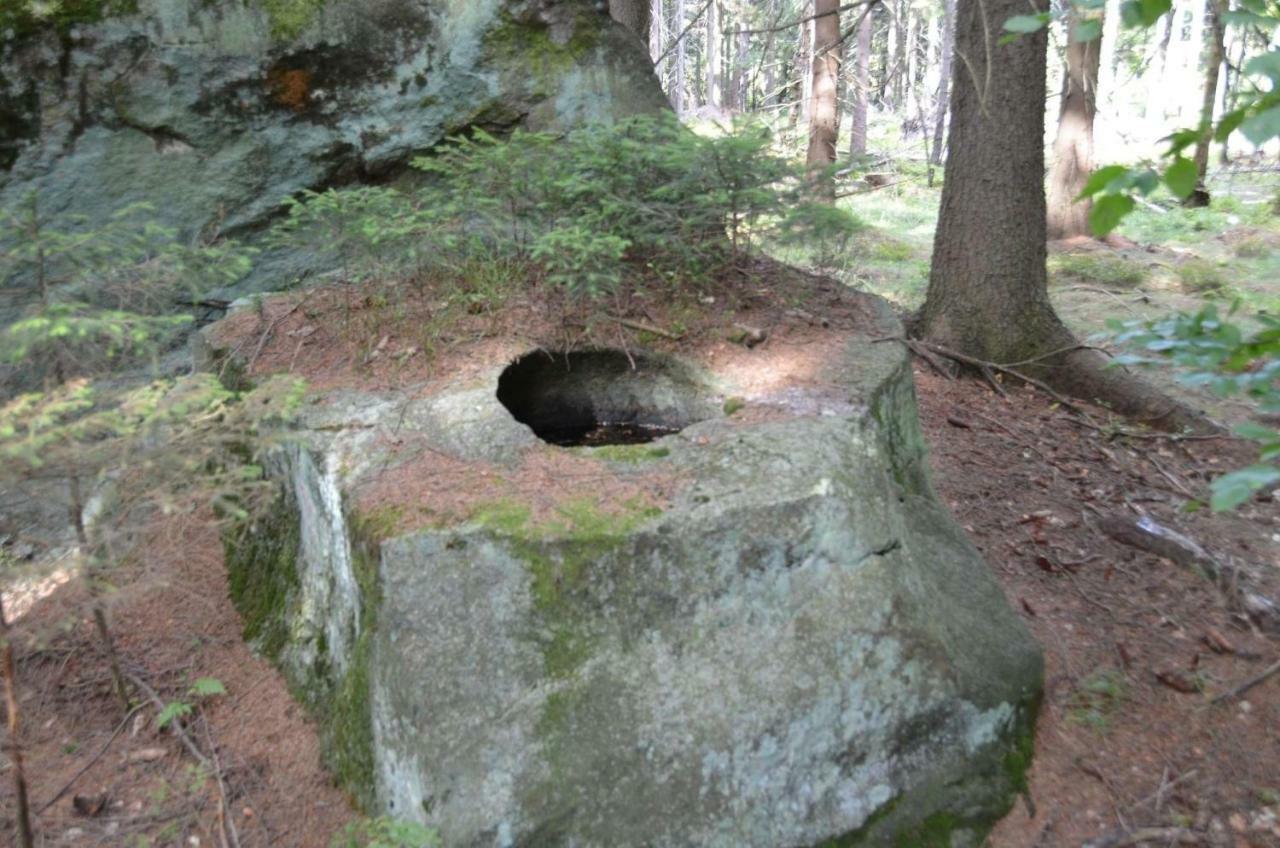 Dom Na Pstraznicy Villa Kudowa-Zdrój Buitenkant foto