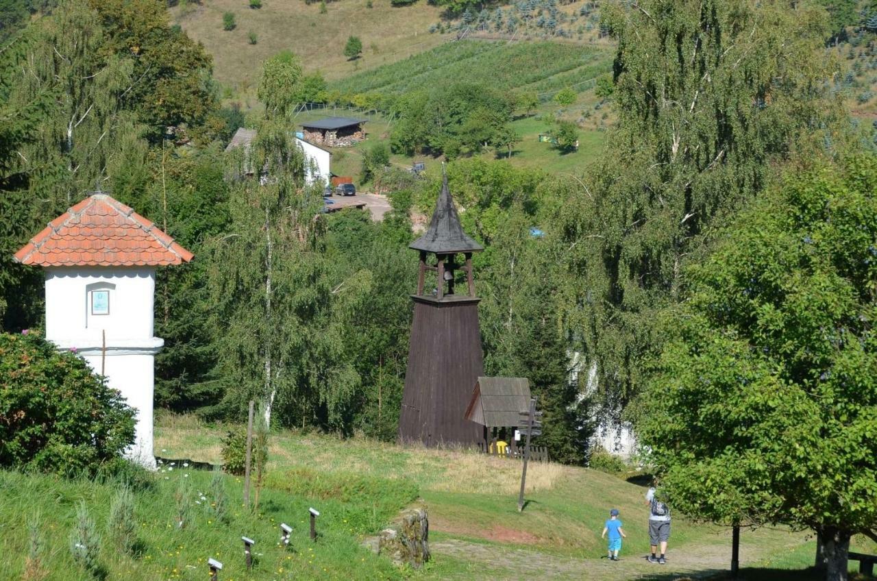 Dom Na Pstraznicy Villa Kudowa-Zdrój Buitenkant foto