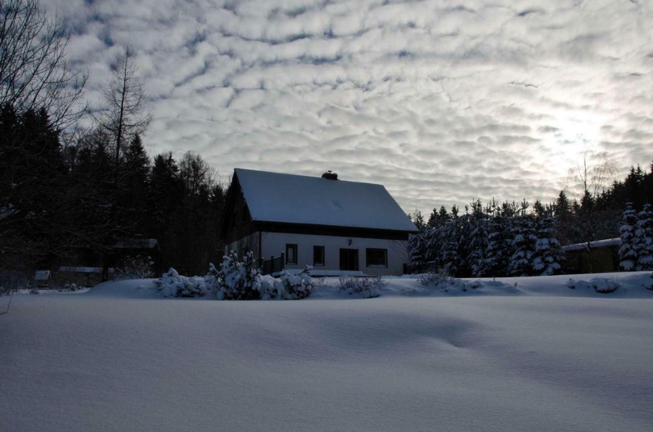 Dom Na Pstraznicy Villa Kudowa-Zdrój Buitenkant foto