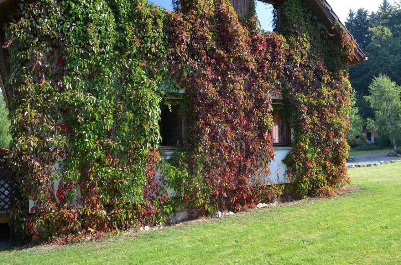 Dom Na Pstraznicy Villa Kudowa-Zdrój Buitenkant foto
