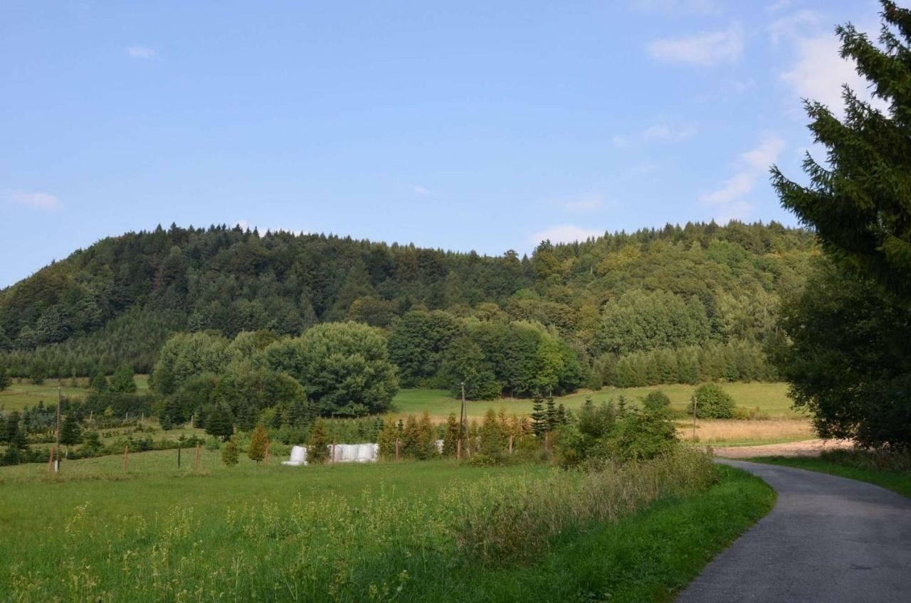 Dom Na Pstraznicy Villa Kudowa-Zdrój Buitenkant foto