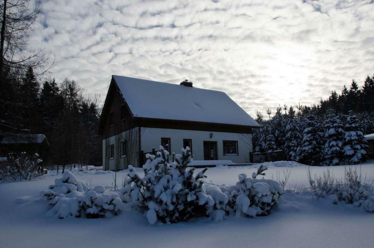 Dom Na Pstraznicy Villa Kudowa-Zdrój Buitenkant foto